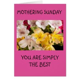 Mothering Sunday greeting card alstroemeria Peruvian lily