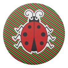 Ladybug ladybird striped eraser name on backPicture